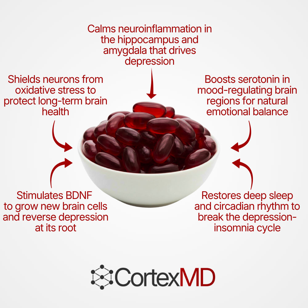 CortexMD Astaxanthin 12mg Softgels – Mood, Brain Health & Mental Clarity
